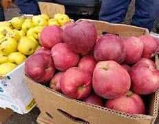 Image result for USA Red Delicious Apple