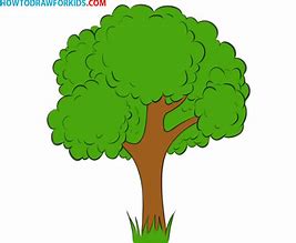 Image result for A Tree Drawing
