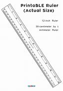 Image result for 20 Cm Ruler Actual Size