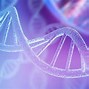 Image result for Double-Stranded Helix of DNA