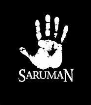 Image result for The White Hand of Saruman