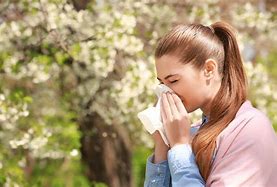 Image result for Spring Allergy Symptoms