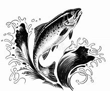 Image result for Salmon Fish Images Clip Art