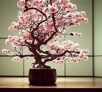 Image result for Bonsai Cherry Tree