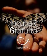 Image result for incubar