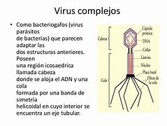 Image result for Virus Complejos