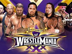 Image result for WWE Wrestlemania 30