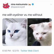 Image result for Eye Liner Cat Meme