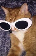 Image result for Aesthetic Cat Glasses