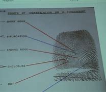 Image result for Fingerprint Pointers