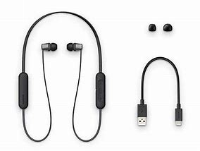 Image result for Sony Gray Headphones