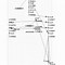 Image result for How Big Is a Nanometer in Meters