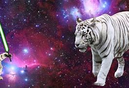 Image result for Galaxy Cat with Lasers