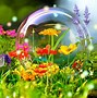 Image result for Cartoon Nature 1080P Wallpaper