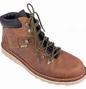 Image result for Pangolin Boots