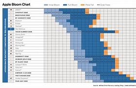 Image result for Apple Tree Bloom Times Chart by Variety