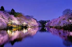 Image result for High Quality 4K Wallpaper Japan