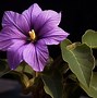 Image result for Dark Purple Flower Wallpaper