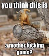 Image result for Funny Squirrel Exercise Memes