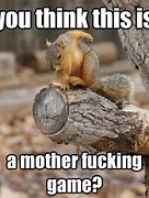 Image result for Laughing Squirrel Meme