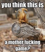 Image result for Funny Squirrel Sayings