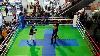 Image result for Kickboxing Pads