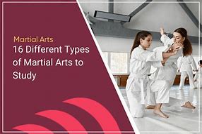 Image result for Types of Martial Arts Styles