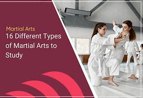 Image result for Differences Between Martial Arts Types