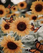 Image result for Preppy Butterfly Sunflower Wallpaper