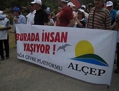 Image result for alcedp