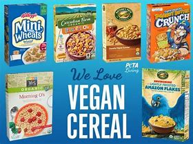 Image result for Vegan Food Brands