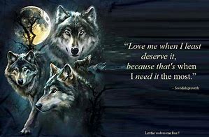 Image result for Love Wolves Quotes