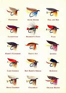 Image result for Green Lagoon Special Fly Pattern