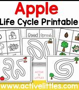 Image result for Apple Tree Life Cycle Activities for Preschoolers