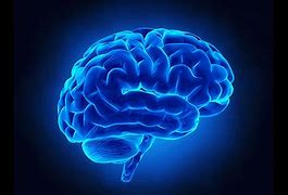 Image result for Blue Big Brain