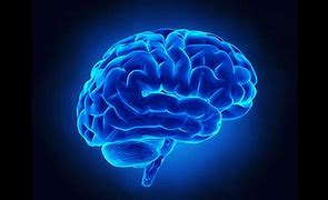 Image result for Blue Brain Etor