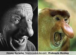 Image result for Monkey Syndrome Meme