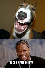 Image result for Oh My Dawg Meme