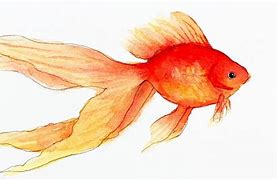 Image result for Make a Watert Fish Picture