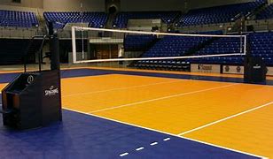 Image result for A Volleyball Ball Indoor