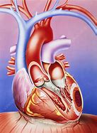 Image result for Damaged Heart Drawing