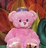Image result for Build a Bear Disney Pink Princess