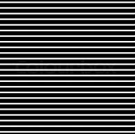 Image result for Horizontal Line Vector