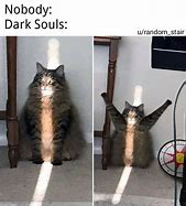 Image result for Dark Souls Cat Meme