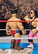 Image result for WWE WWF Wrestlers