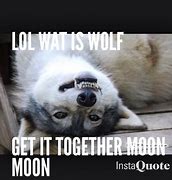 Image result for Wolves Moon Meme