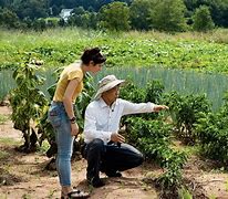 Image result for 10th Generation Farmer