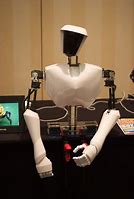 Image result for Cool Humanoid Robots