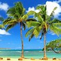 Image result for Pretty Palm Tree Wallpaper