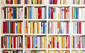 Image result for Library Shelves Filled with Books